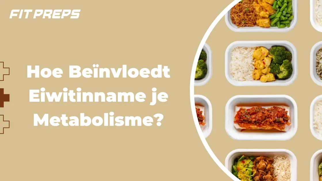 Hoe beïnvloedt eiwitinname je metabolisme